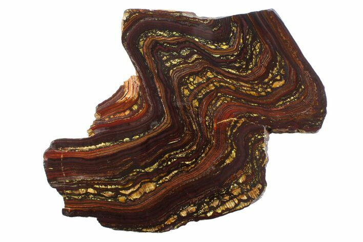 Polished Tiger Iron Stromatolite Slab - Billion Years #354935